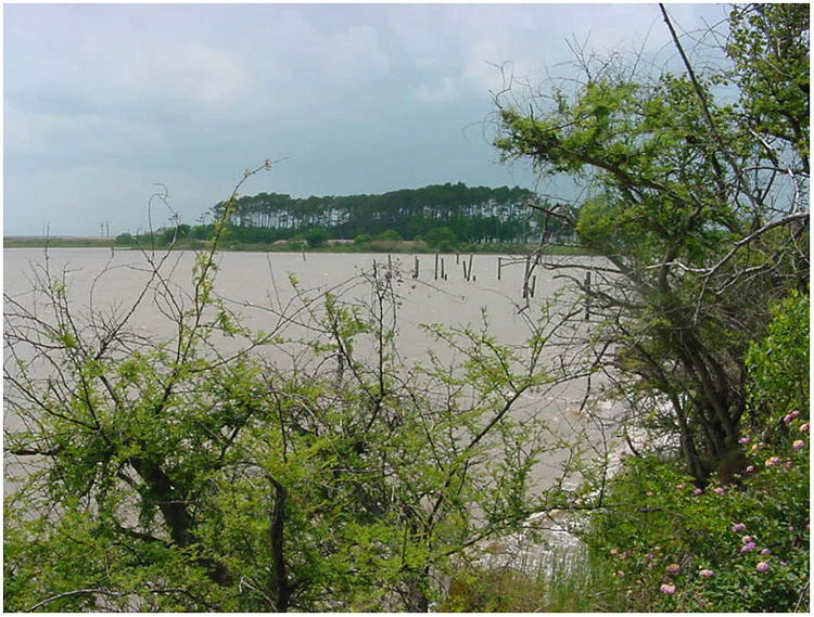 Bayland Park - Baytown, Texas. 'Hellfighters' w/John Wayne was filmed here.