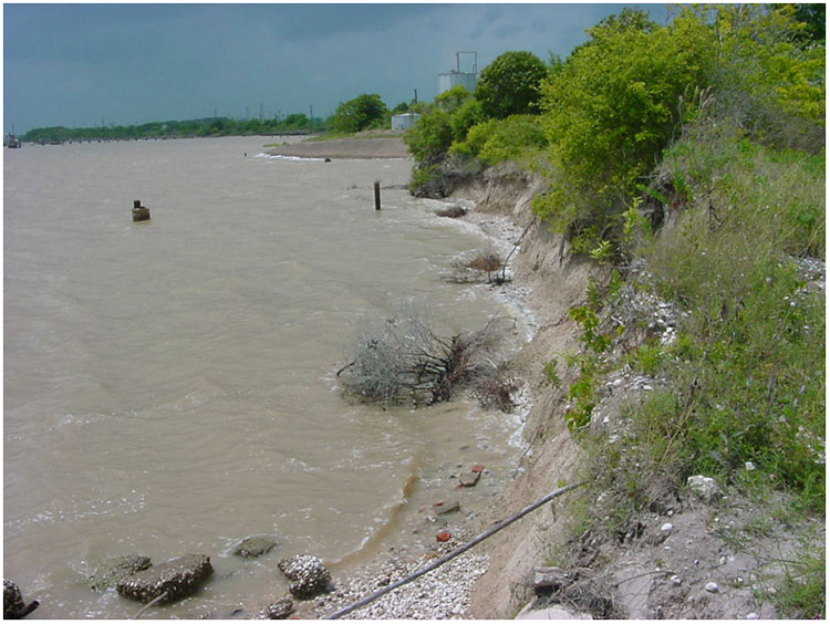 Tabbs Bay coastline - Baytown, Texas