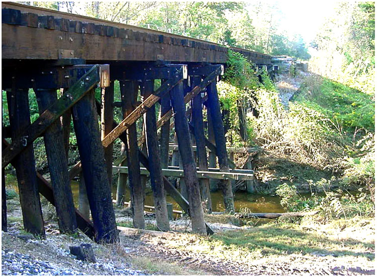 RR Trestle behind Pinehurst Subdivision - Baytown, Texas