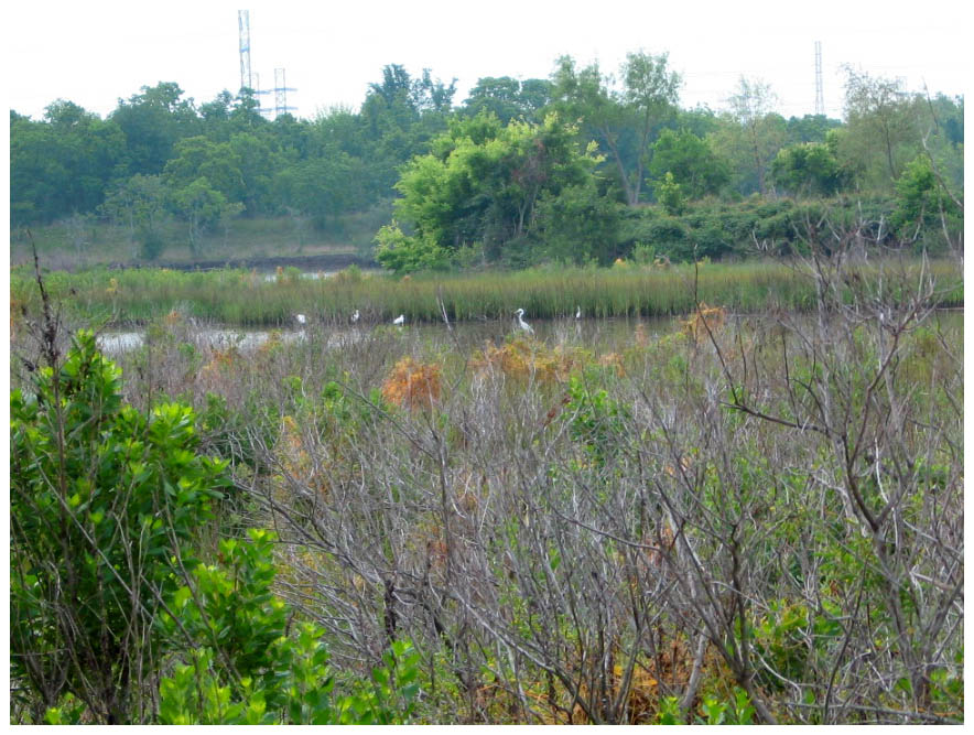 Cedar Bayou from Kilgore Road and East James Street - Baytown, Texas