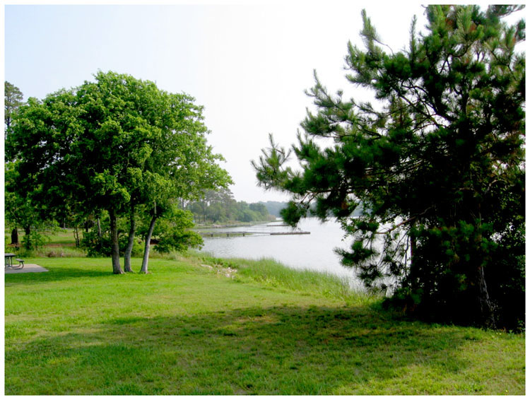 Close to the location of the Confederate Naval Works of Goose Creek (on far side of lake)