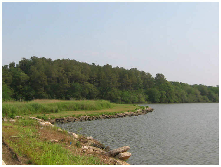 Goose Creek Trail as it passes close to R. E. Lee high school 