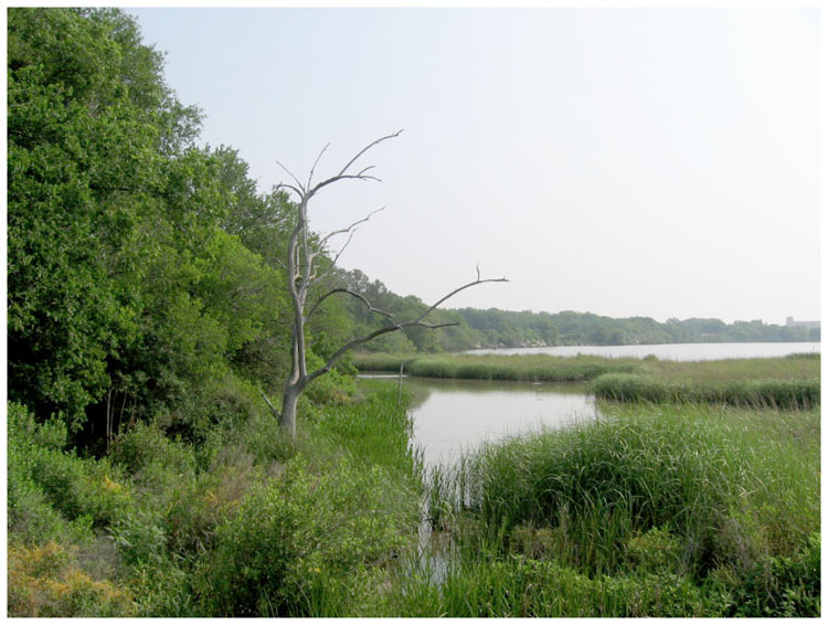 Goose Creek Trail as it passes close to R.E. Lee high school in Baytown, Texas