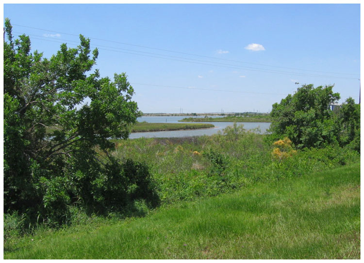 Bayland Marina -Tabbs Bay - Baytown Texas 