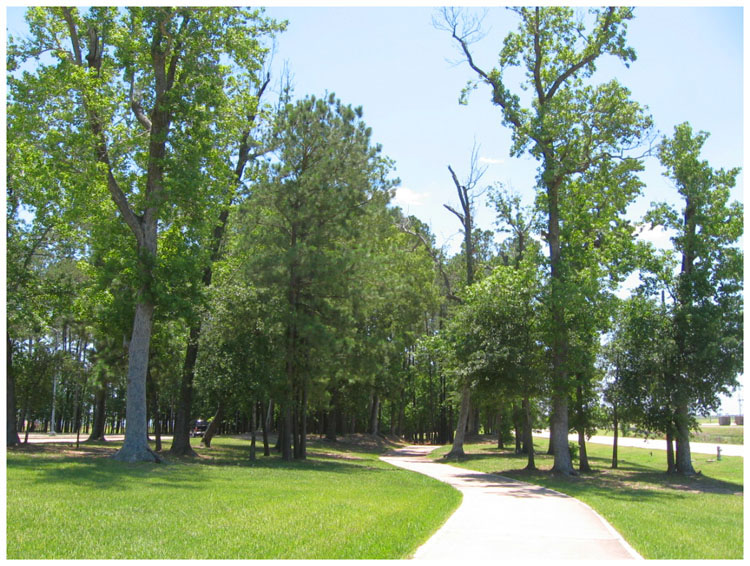 Goose Creek Trail at Bayland Park - Baytown, Texas