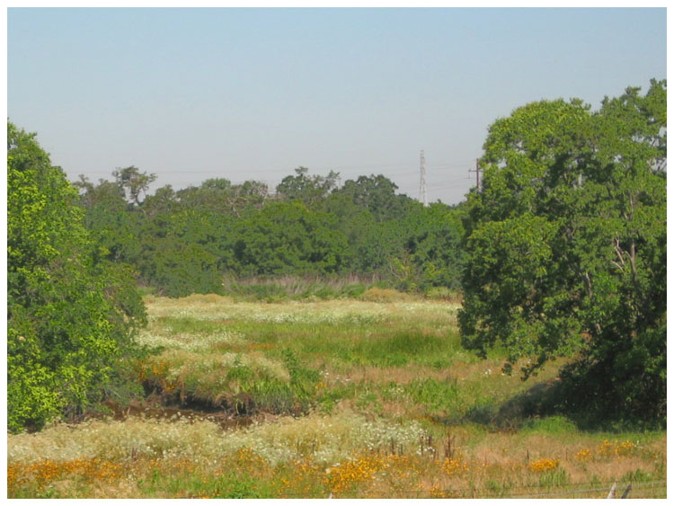 Field beside Goose Creek behind hospital on Garth Road and SH146 