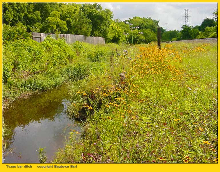 Around Baytown - a fork of Cary Bayou - Baytown, Texas