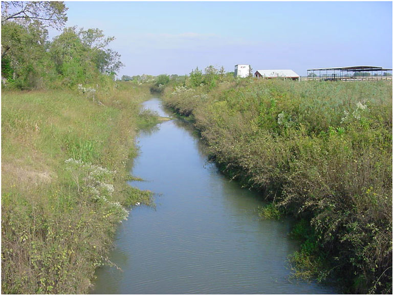 Around Baytown3 - Bar ditch between Mt. Belvieu and Dayton Texas