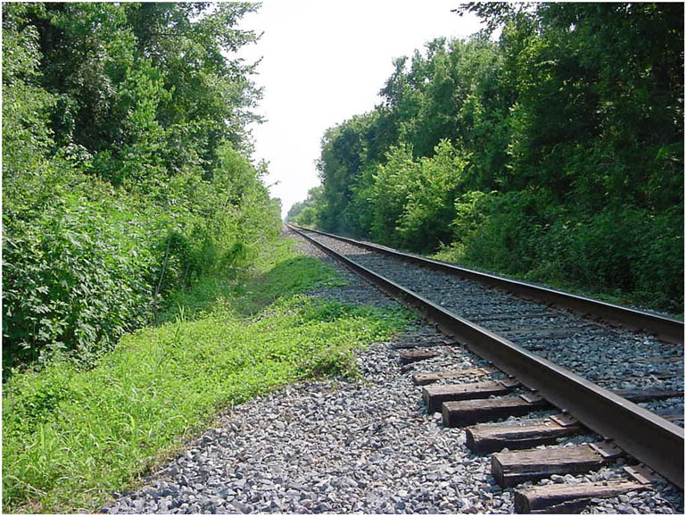 Around Baytown, Texas -- RR Tracks outside of Baytown Texas 