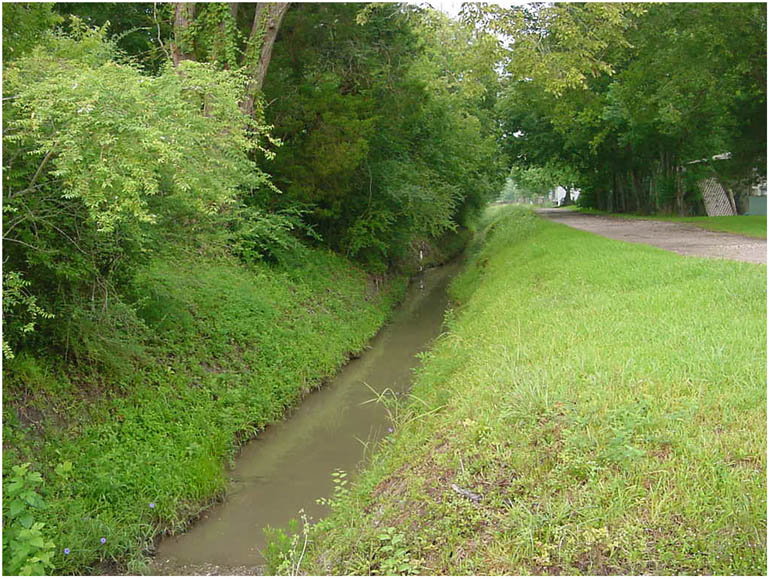 Around Baytown - a fork of Cary Bayou - Baytown Texas 