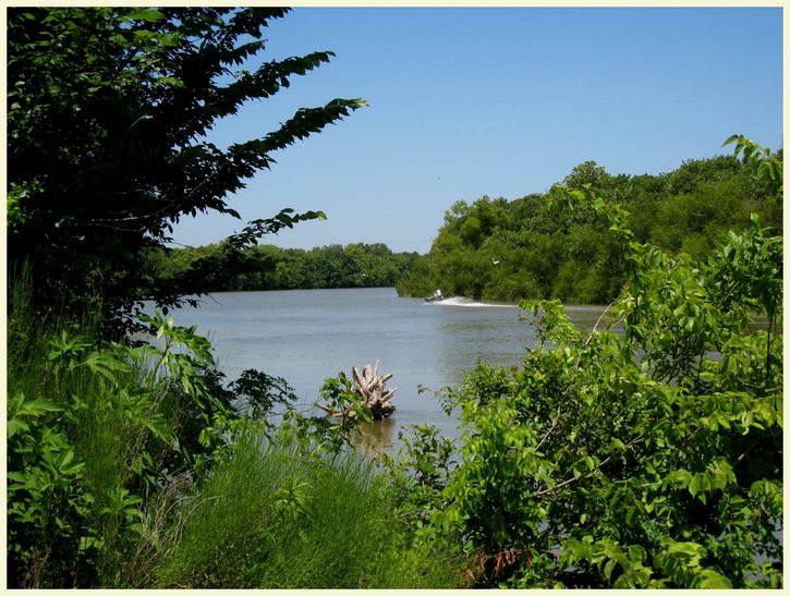 Around Baytown - Trinity river - Chambers County, Texas