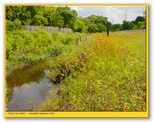 Cary Bayou - Baytown, Texas