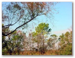 Baytown, Texas 