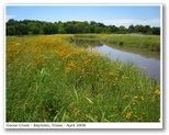 Goose Creek - Baytown, Texas