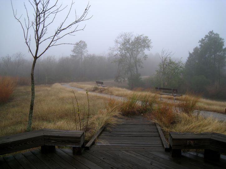 Baytown Nature Center Hike 12-18-2008 - Baytown, Texas 