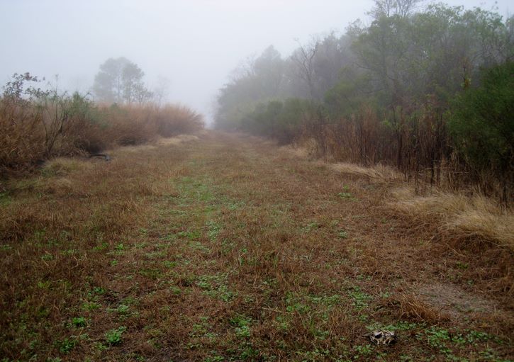 Baytown Nature Center Hike 12-18-2008 - Baytown, Texas 