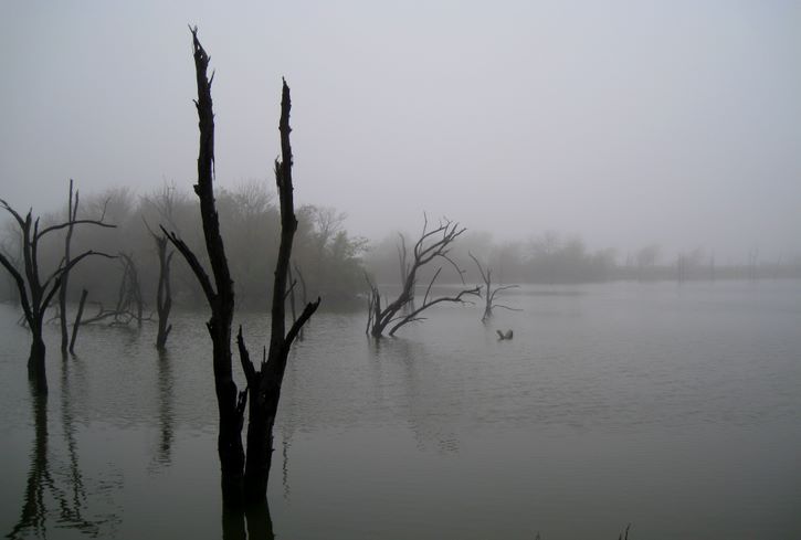 Baytown Nature Center Hike 12-18-2008 - Baytown, Texas 