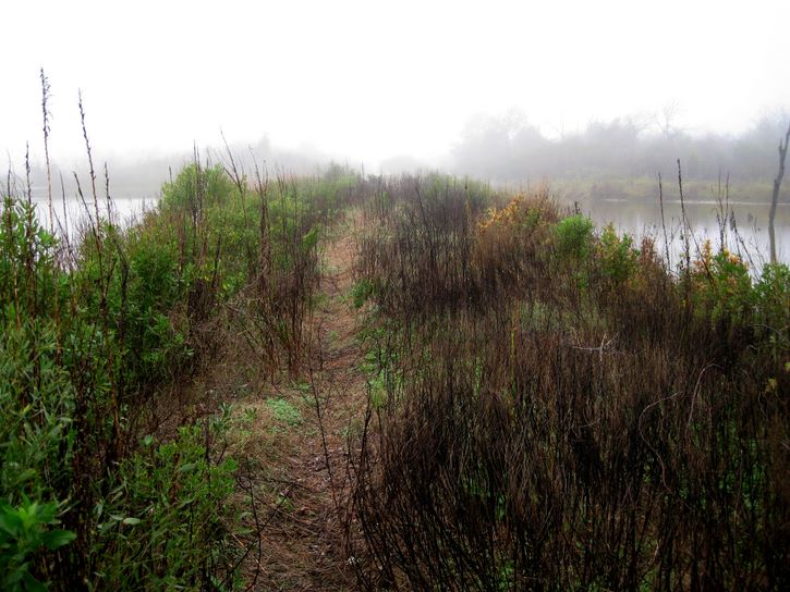 Baytown Nature Center Hike 12-18-2008 - Baytown, Texas 