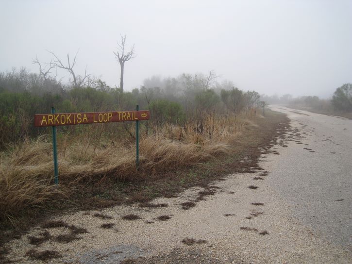 Baytown Nature Center Hike 12-18-2008 - Baytown, Texas 