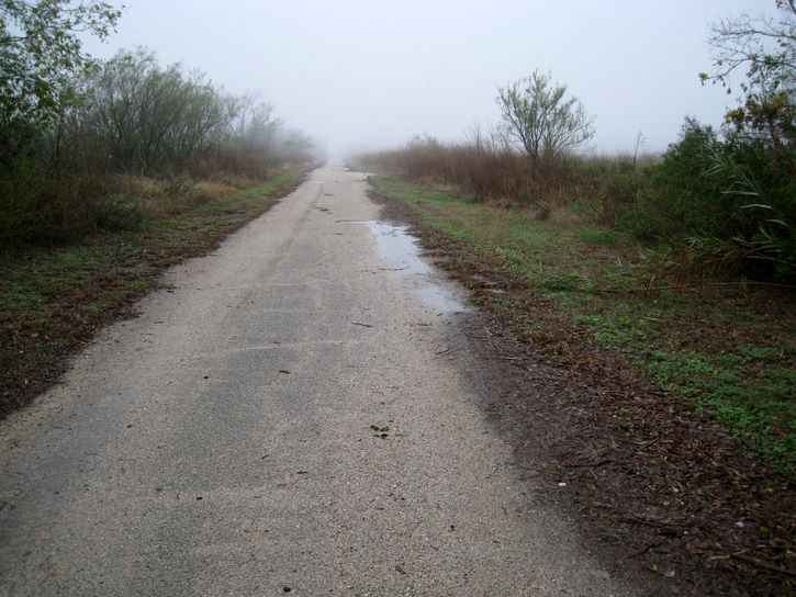 Baytown Nature Center Hike 12-18-2008 - Baytown, Texas 