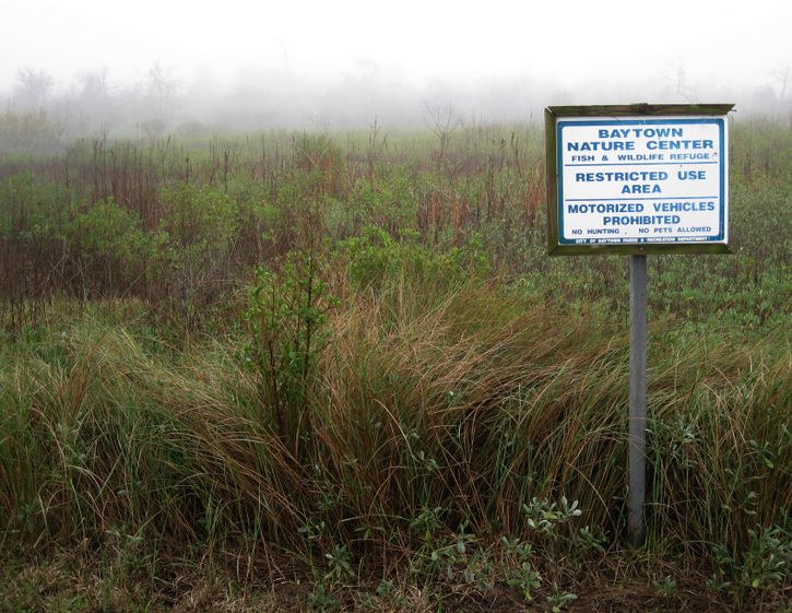 Baytown Nature Center Hike 12-18-2008 - Baytown, Texas 