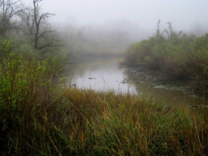 Baytown Nature Center Hike 12-18-2008 - Baytown, Texas 