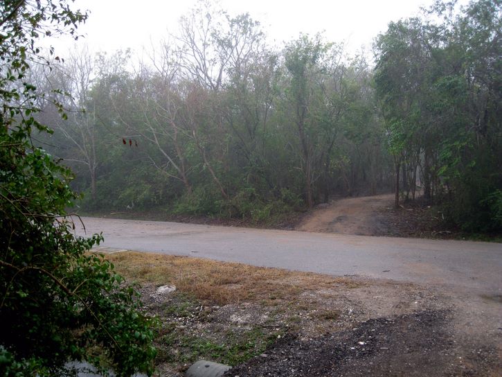 Baytown Nature Center Hike 12-18-2008 - Baytown, Texas 