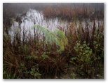 Baytown Nature Center