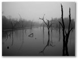 Baytown Nature Center