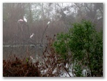 Baytown Nature Center Hike 12-18-2008 - Baytown, Texas 