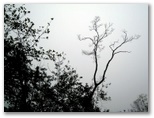 Baytown Nature Center