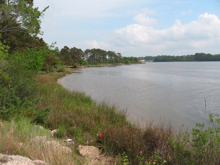 Goose Creek Trail - Baytown, Texas - Goose Lake