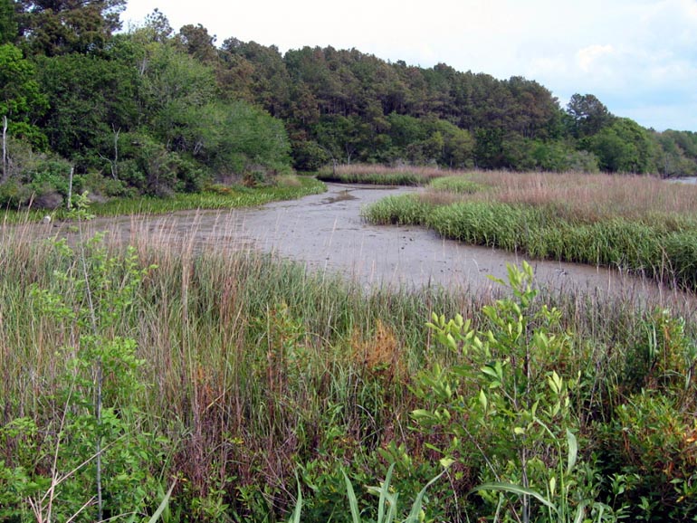 Goose Creek Trail - Baytown, Texas