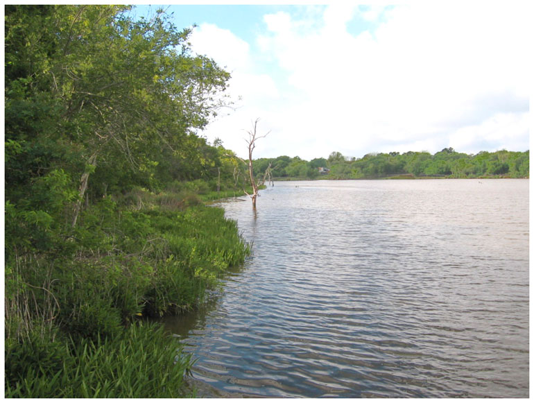 Goose Creek Trail - Baytown, Texas