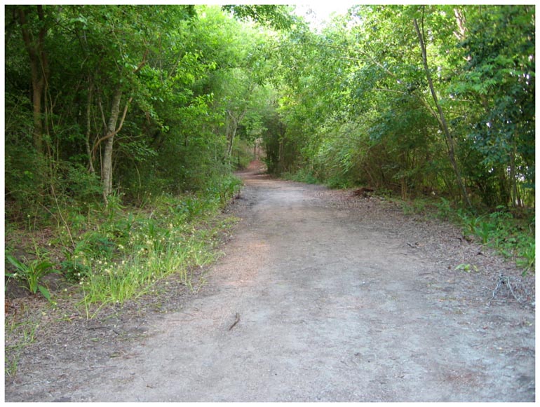 Goose Creek Trail - Baytown, Texas