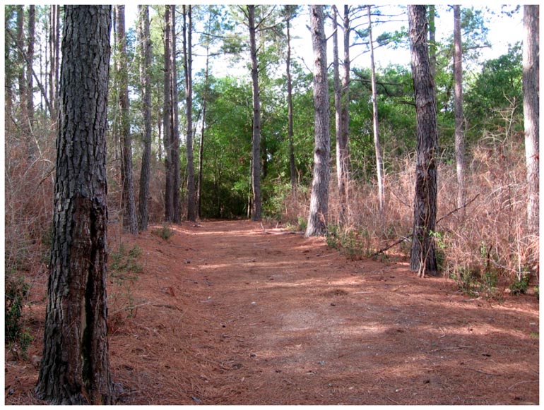 Goose Creek Trail - Baytown, Texas