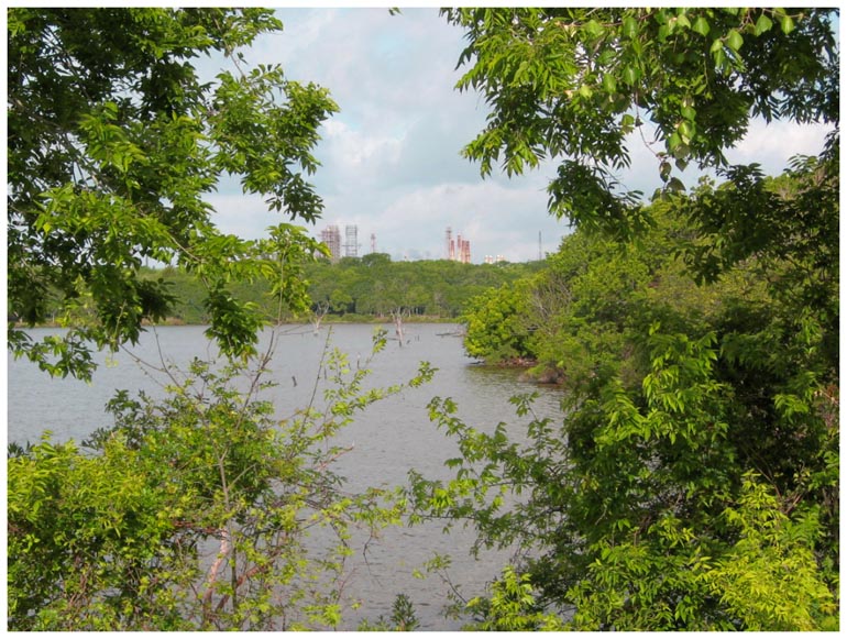 Goose Creek Trail - Baytown, Texas