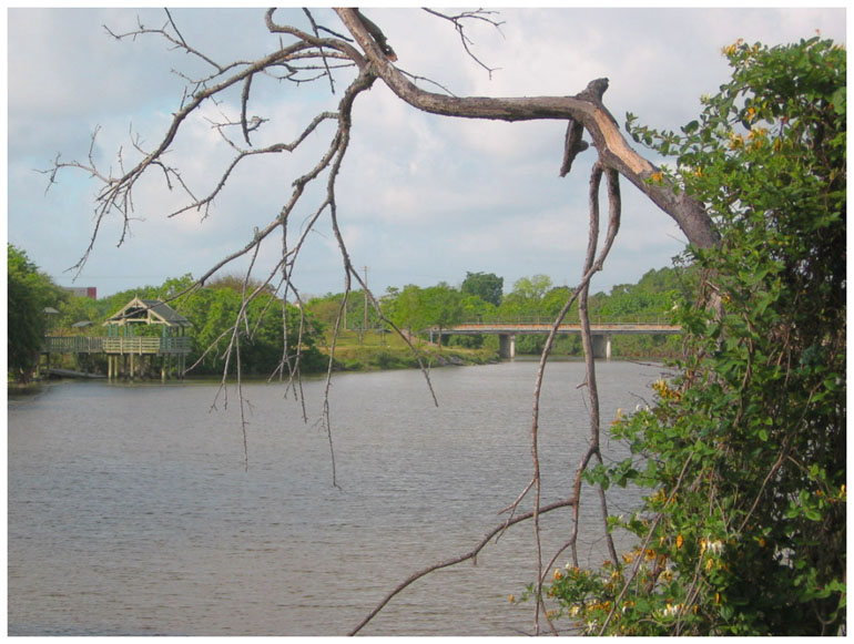 Goose Creek Trail - Baytown, Texas