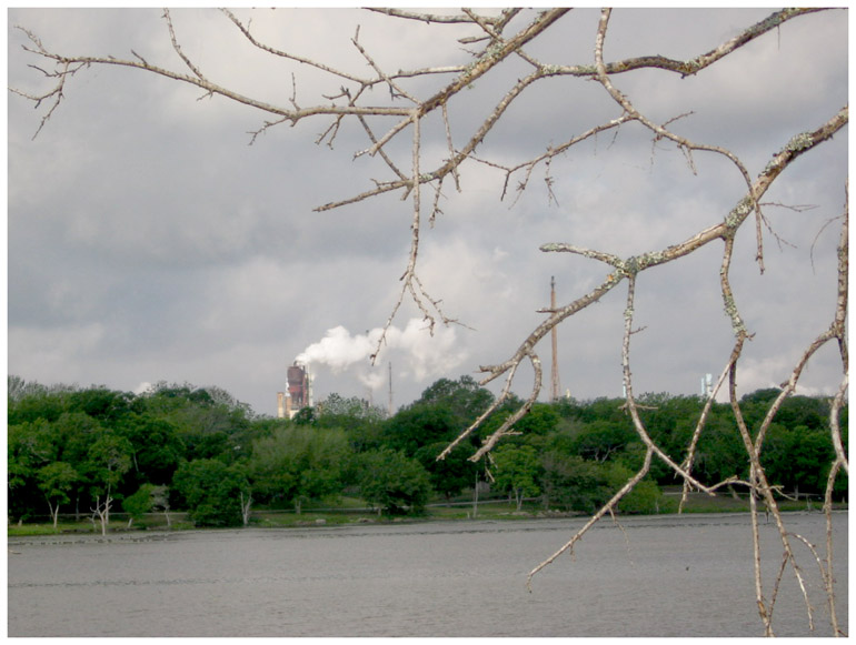 Goose Creek Trail - Baytown, Texas