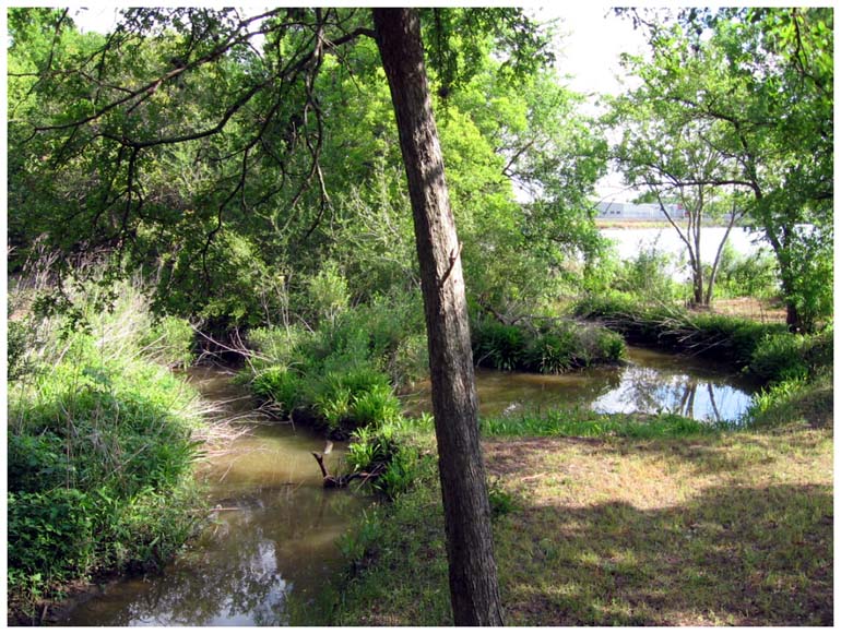 Goose Creek Trail - Baytown, Texas