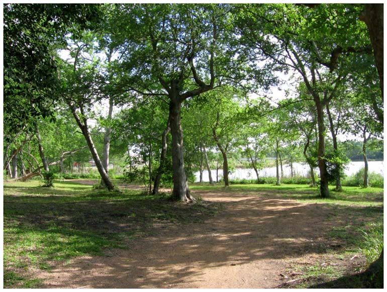 Goose Creek Trail - Baytown, Texas