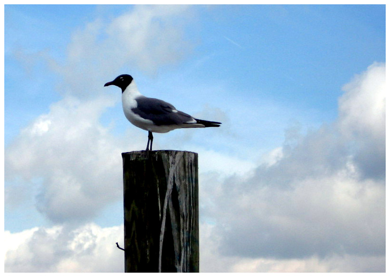 Goose Creek Trail - Baytown, Texas