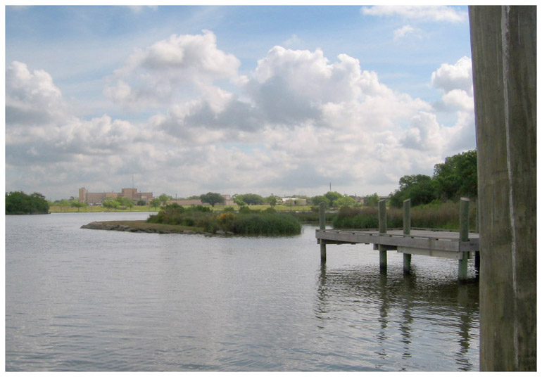 Eddie V. Gray Wetlands Center