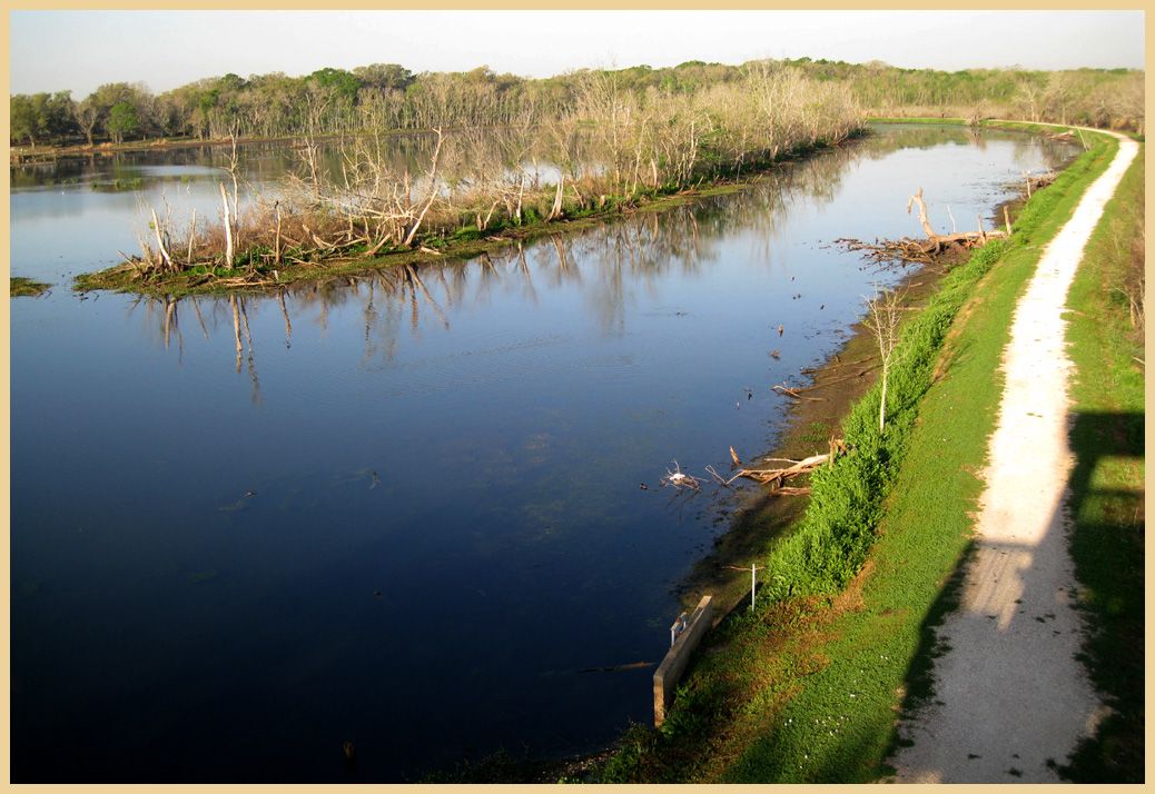 Brazos Bend State Park - Texas Parks and Wildlife - 40 Acre Lake Trail