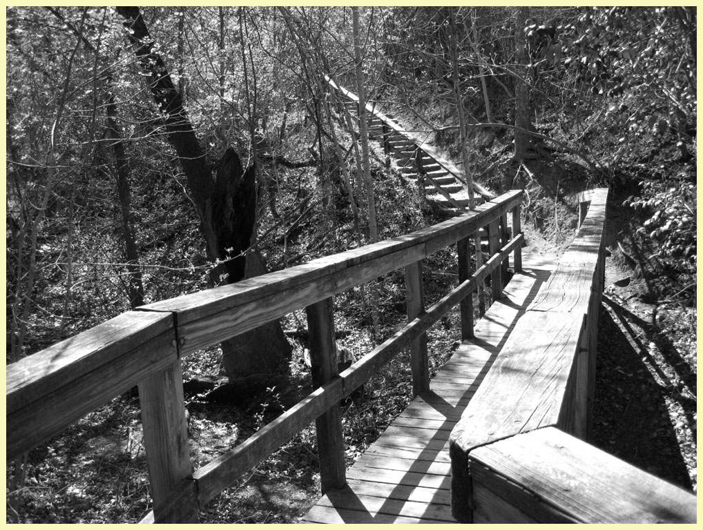 McKinney Falls State Park - the Rock Shelter Trail - the best trail in the park.