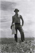 Tim Wheeler