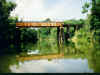Cedar Bayou Tressel by Terry Marshall
