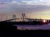 This beautiful pic was taken by Vickie Bell