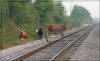 Off Needlepoint Road  Photo Baytown Bert