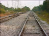 Photo Baytown Bert